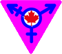 banniere-org/